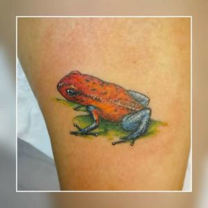 tatouage grenouille dendrobate en couleur