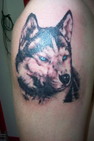 tatouage loup