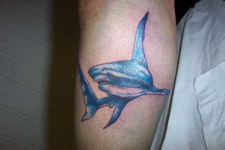Tatouage requin