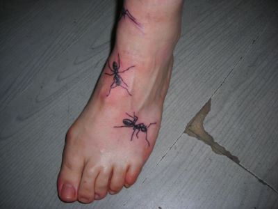 Tatouage fourmis sur le pied