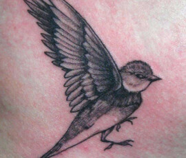 Tatouage oiseau style réaliste
