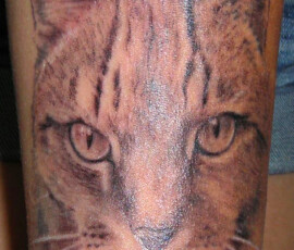 Tatouage portrait de chat réaliste