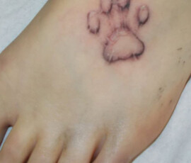 Tatouage empreinte chien