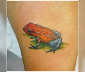 Tatouage grenouille couleur réaliste