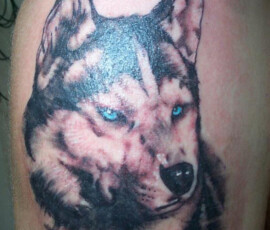 Tatouage de chien husky en couleur. Style réaliste