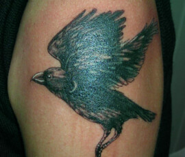 Tatouage de corbeau en noir.Style réaliste