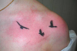 Tatouage silhouette d'oiseaux Tatouage silhouette d'oiseaux sur l'épaule. Style graphique