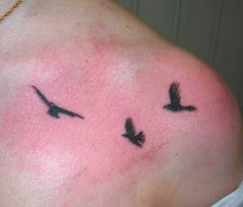 Tatouage silhouette d'oiseaux sur l'épaule. Style graphique