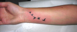 Tatouage envolée d'oiseaux sur le poignet Tatouage envolée d'oiseaux sur le poignet. Tatouage discret et élégant.