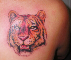Tatouage portrait de tigre en couleur