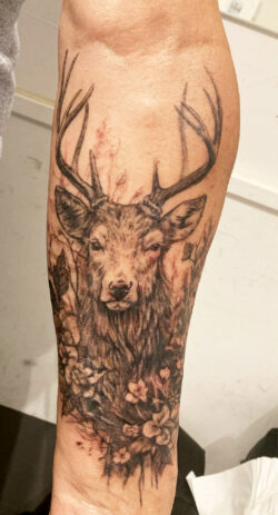 Tatouage d'un cerf de style réaliste en noir et ombres Tatouage d'un cerf de style réaliste en noir et ombres
