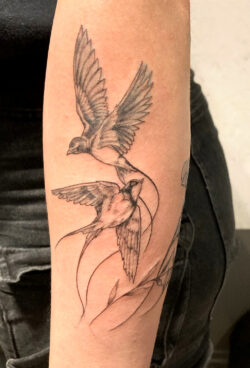 Tatouage hirondelles de style "Finework" Tatouage d'oiseaux hirondelles avec des traits très fins et délicats de style "Finework"