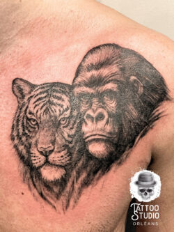 Tatouage gorille et tigre sur le pectoral. Tatouage gorille et tigre sur le pectoral. Style noir et ombre, tattoo réaliste.