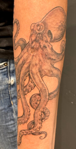 Tatouage d'un poulpe qui s'enroule autour de l'avant bras. Tatouage d'un poulpe qui s'enroule autour de l'avant bras. Style réaliste en noir et ombre.