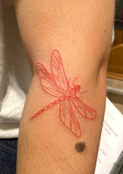 Tatouage libellule contour en couleur Joli tattoo d'une libellule contour en couleur rouge