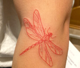 Joli tattoo d'une libellule contour en couleur rouge