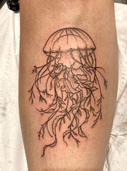 Tatouage méduse de style "Finework" Tatouage méduse avec des traits très fins et délicats de style "Finework"