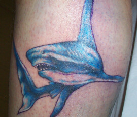 Tatouage de requin en couleur sur le bras