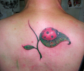 Tatouage coccinelle en couleur dans le haut du dos.