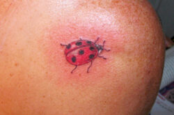 Tatouage coccinelle sur l'épaule Tatouage d'une coccinelle posée sur l'épaule en couleur.
