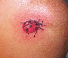 Tatouage d'une coccinelle posée sur l'épaule en couleur.