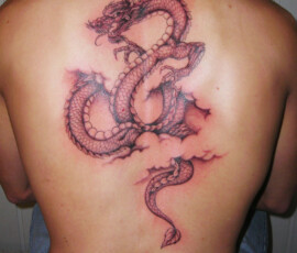 Tatouage dragon dans le dos  style réaliste