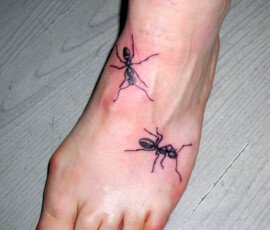 Tatouage de fourmis qui grimpent sur le pied. Effet "trompe l'œil" réaliste.