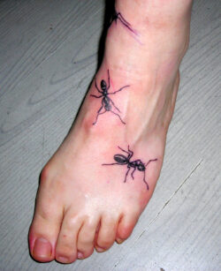Tatouage de fourmis qui grimpent sur le pied. Tatouage de fourmis qui grimpent sur le pied. Effet "trompe l'œil" réaliste.