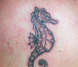 Tatouage hippocampe
