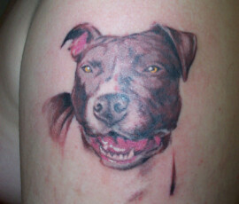 Tatouage portrait chien en couleur style réaliste