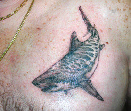 Tatouage de requin style réaliste