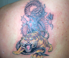 Tatouage tigre et dragon en couleur  sur l'épaule