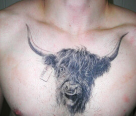 Tatouage de vache sur le torse en noir et ombre.  Style réaliste et détaillé.