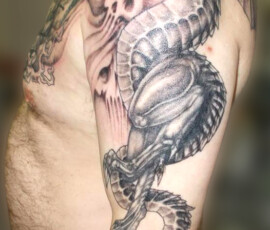 Tatouage de dragon couvrant l'épaule, l'omoplate et le pectoral