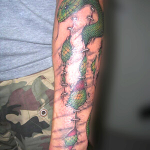 Tatouage trompe l'œil serpent sortant du bras avec cicatrices