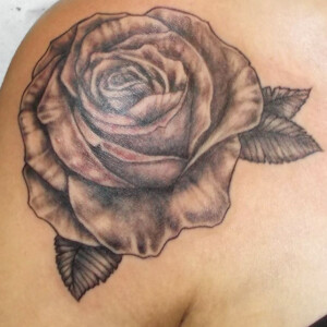 Tatouage d'une rose en noir et ombre sur l'épaule