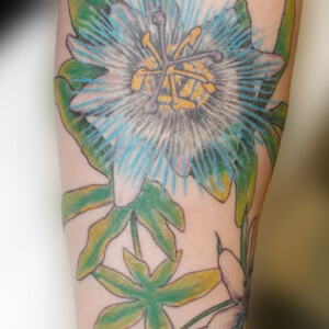 Tatouage d'une fleur passiflore en couleur sur l'avant-bras