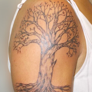 Tatouage arbre sur le bras