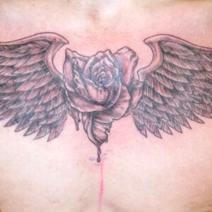 Tatouage rose et ailes sur les pectoraux en noir et dégradés