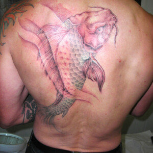 Tatouage carpe japonaise dans le dos en noir et ombre