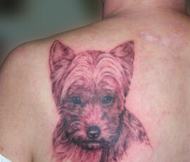 Tatouage portrait de chien d'après photo, en style photo réaliste