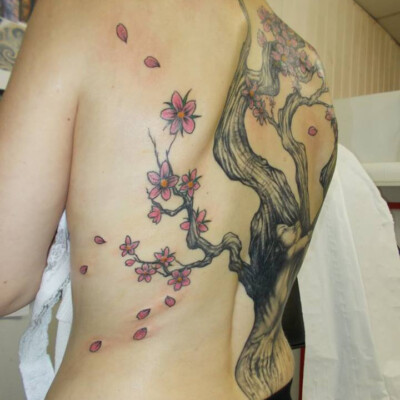 Détail sur les fleurs de cerisier qui donnent un esprit très poétique à la composition !