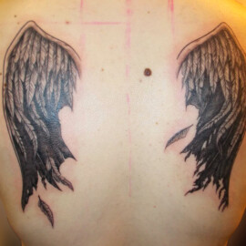 Tatouage ailes dans le dos style réaliste en noir et ombrages