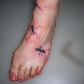 Tatouage fourmis sur le pied