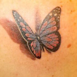 Découvrez nos réalisations de tatouages sur le thème des animaux