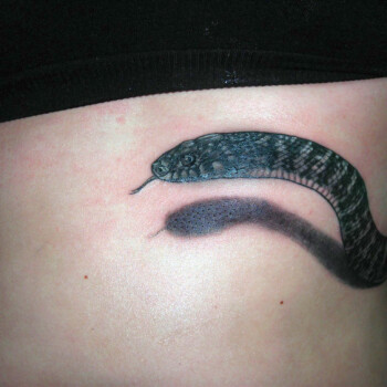 tatouage serpent effet réaliste trompe l'œil : le serpent sort du corps !